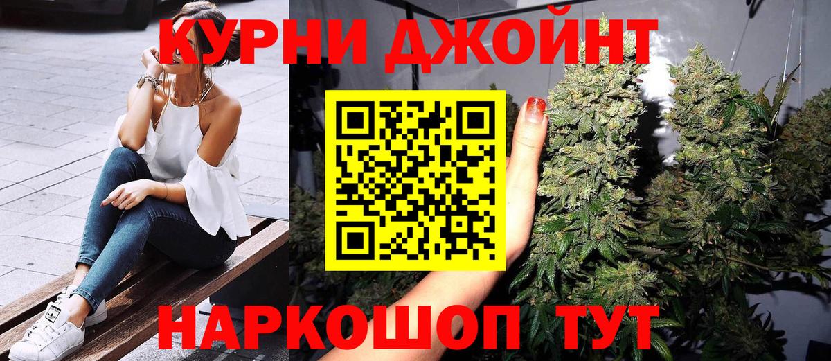 Марихуана сатива Заволжье